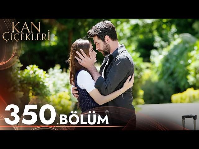 Kan Çiçekleri 350. Bölüm