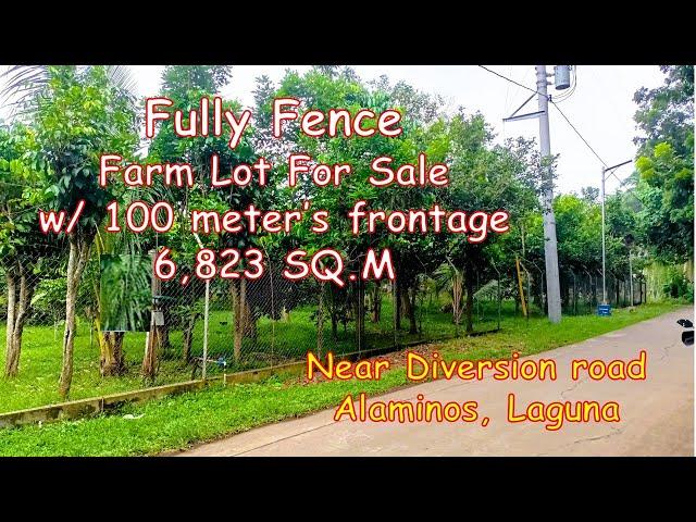 6,823 SQM. FARM LOT FOR SALE (Prop# 181), ALAMINOS, LAGUNA