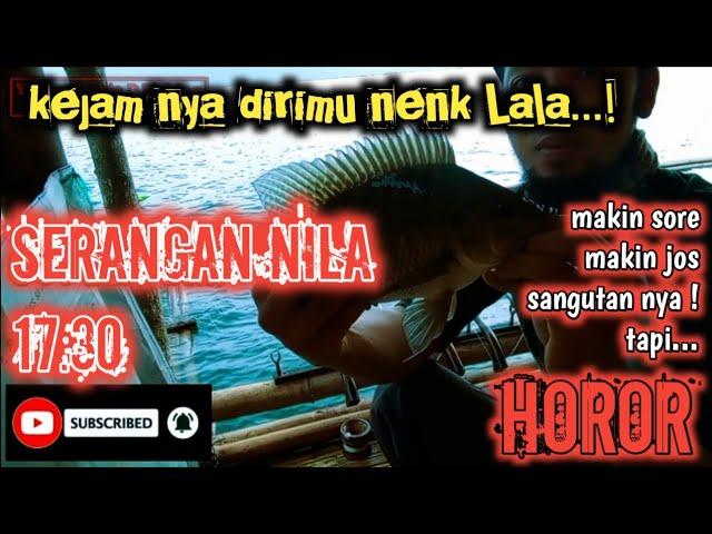  Mancing Terbaru Waduk Jatiluhur || Serangan Nila 17.30 || Spot Horor || Lapak Teuas Gaes !!