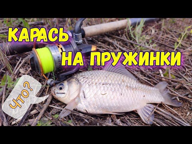 РЫБАЛКА на КОРМАКИ (пружины). Дубасим КАРАСЯ на домашнюю ПРИКОРМКУ!