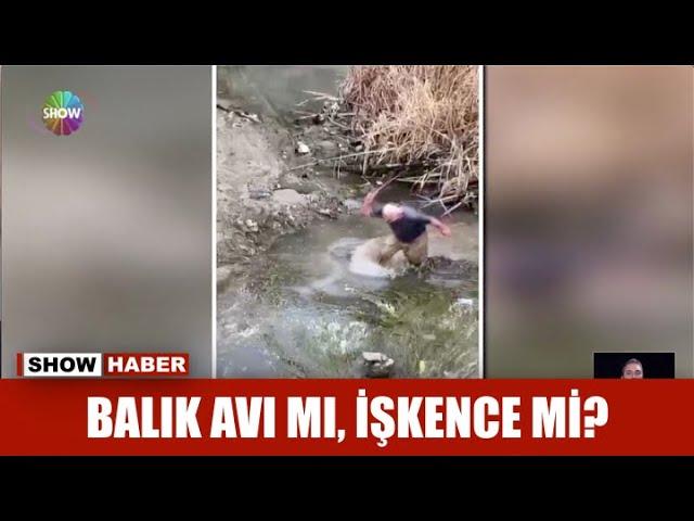 Balık avı mı, işkence mi?