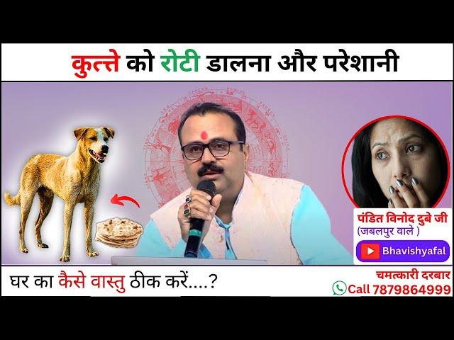 कुत्त्ते को रोटी डालना और परेशानी में पड़ना #viralvideo #astrology #bhavishyafal #horoscope #kundali