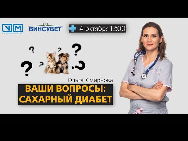 Ваши вопросы: сахарный диабет