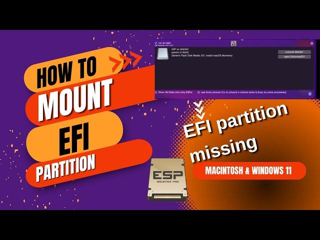 No EFI system partition was found ESP Mounter. Mount EFI in dualboot. Hackintosh vs Windows EASY WAY