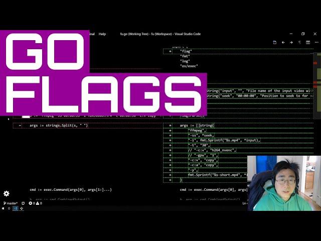 Go Flags | FFmpeg Utility #2