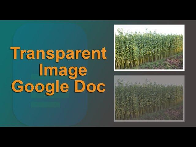 How to Make an Image Transparent in Google Docs Document