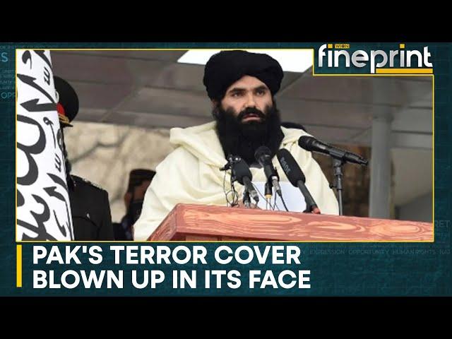 Taliban's Interior Minister Sirajuddin Haqqani held a Pak passport | WION Fineprint