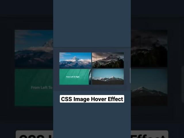 Image Hover Effect CSS | Image Overlay Hover Effect With HTML & CSS | @Code Companion