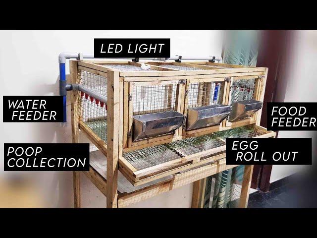 Ridiculously efficient quail cage that addresses all your woes!