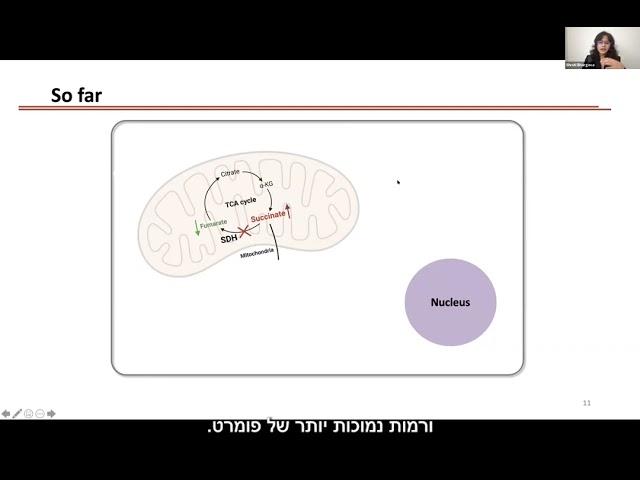 SDH deficient GIST Research Update  New Horizons GIST Day 3 Session 2   Final