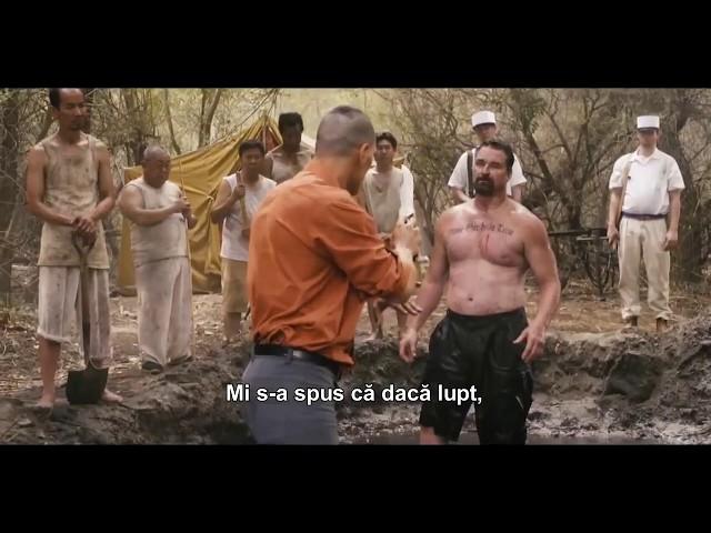 Film de actiune   Cîinele sălbatic