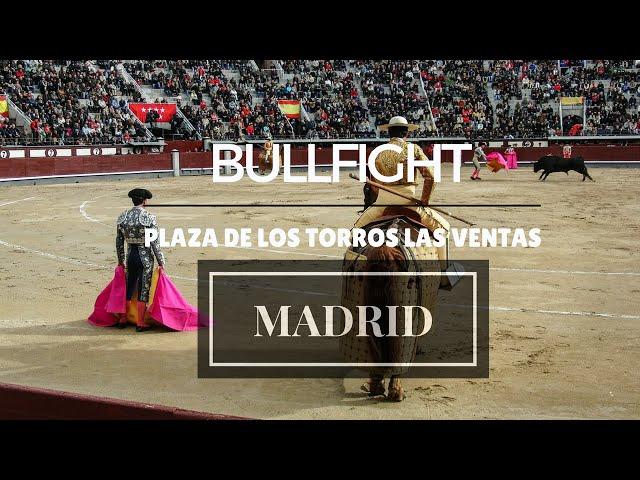 Bullfight in Madrid - Plaza de Los Torros