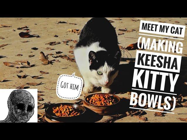 Meet my Cat Keesha (making kitty food bowls)