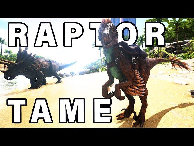 How to TAME a Raptor ► Ark