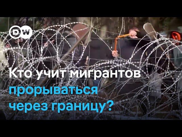 Как мигранты нелегально попадают из Беларуси в Польшу, и кто им в этом помогает