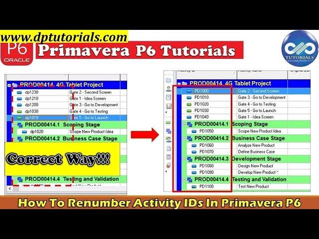 How To Renumber Activity IDs For All Activities In An Ascending Order In Primavera P6 | dptutorials