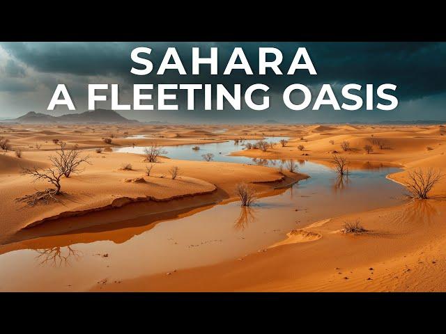 Sahara Desert Experiences First TIme Flooding In Decades - Scientists On Alert