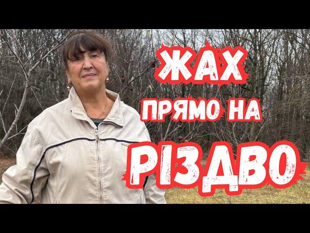 Наталя Фаліон - Жах прямо на Різдво