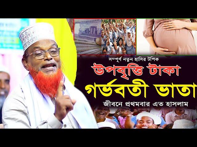 গর্ভবতী ভাতা নিয়ে তুমুল হাসির ওয়াজ | হাসির যেনো শেষ নাই | Mawlana Ruhul Amin Juktibadi Waz 2024