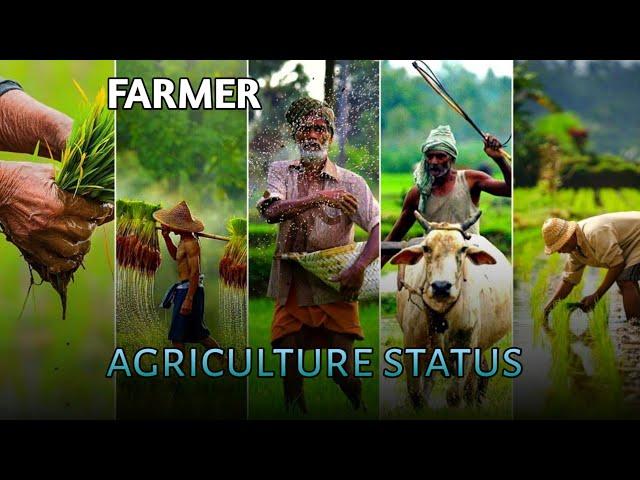 agriculture whatsapp status  || farmer whatsapp status video || khetibadi status #shorts#farmers