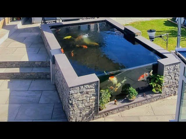4000 GALLON KOI POND - EXPERIMENTING WITH FINES! FINES GONE IN 12 HOURS???!