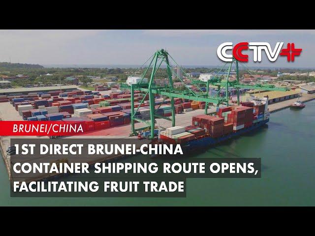 1st Direct Brunei-China Container Shipping Route Opens, Facilitating Fruit Trade