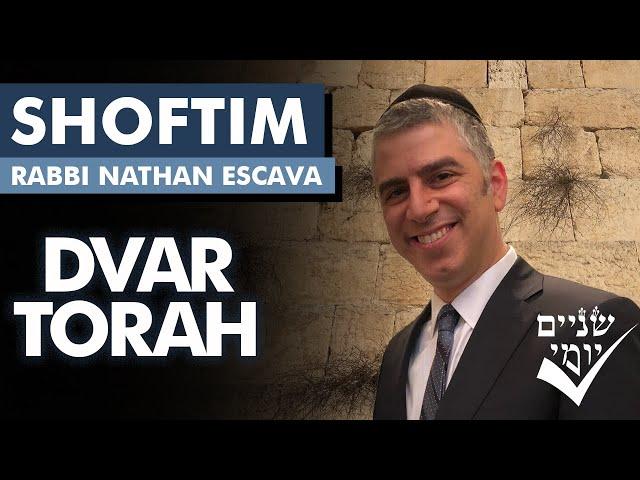 Shnayim Yomi - Shoftim - D'var Torah 5784