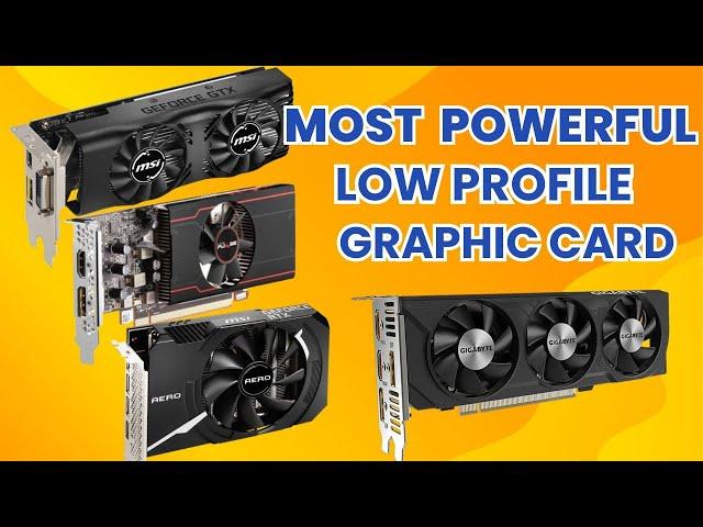 Best Low Profile Graphics Card 2024