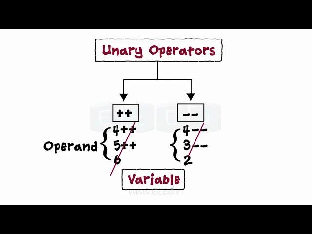 Operators And Expressions - C Programming Basics - Computer Programming