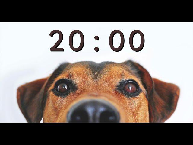 20 Minute Timer for School and Homework - Dog Bark Alarm Sound