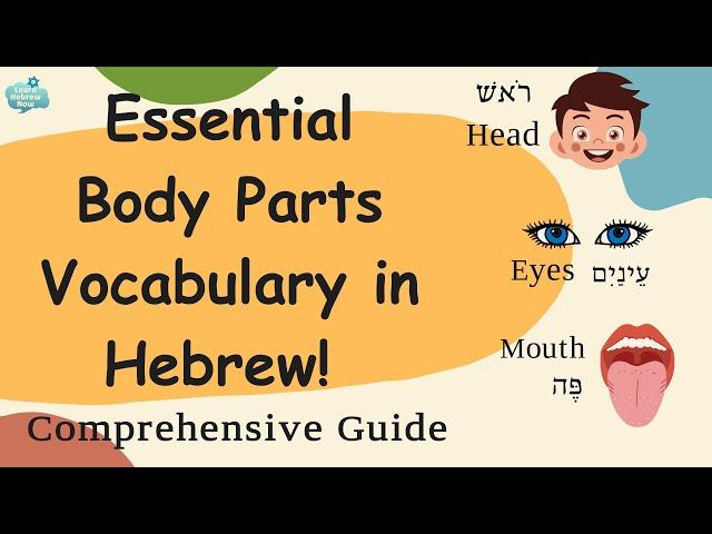 Learn Essential Hebrew : Learn The Names of Body Parts in Hebrew with Easy Pronunciation Guide