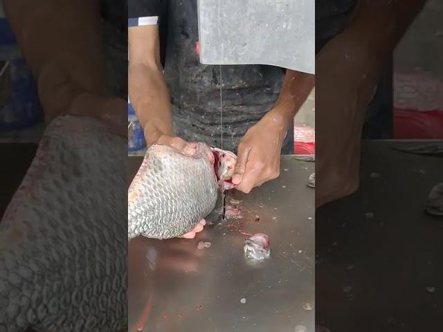 Tilapia Fish Machine Cutting Skills l Amazing Tilapia Fish Cutting In Bangladesh Fish Market