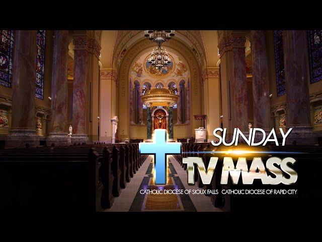 Sunday TV Mass - August 11 2024