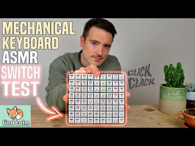 Mechanical Keyboard ASMR | 72 Switch Sound Test (clicky typing, soft spoken)