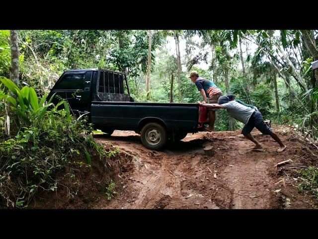 BARU BISA MASUK HUTAN SETELAH BEBERAPA HARI HUJAN || MUAT SENGON