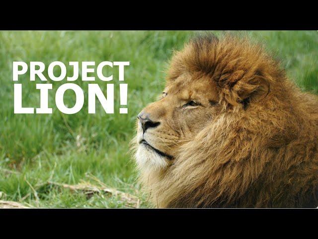Project Lion - The Big Cat Sanctuary