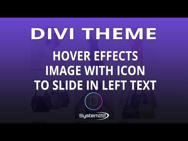 Divi Theme Hover Effects Image With Icon To Slide In Left Text