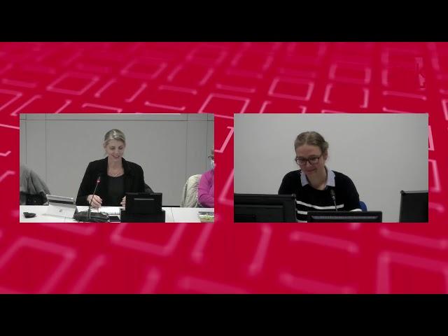 FreiKo: Friederike Schierl -  Erfahrungen aus einem Erasmussemester im hohen Norden (05.11.2021)