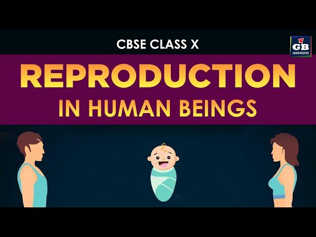 Reproduction in human beings | Class 10th CBSE biology | ncert class 10 science