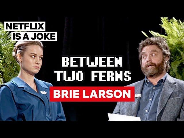 Brie Larson: Between Two Ferns with Zach Galifianakis | Netflix Is A Joke