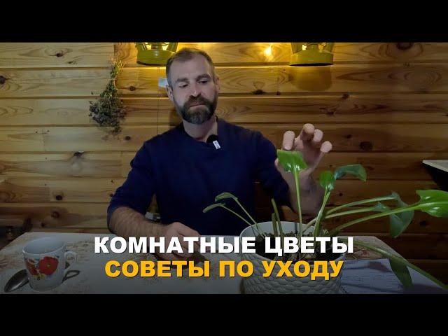 КОМНАТНЫЕ РАСТЕНИЯ ТРЕБУЮТ УХОДА. Советы по уходу за комнатными растениями.