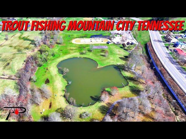 Trout Fishing Mountain City Tennessee