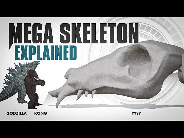 The MEGA-Titan Skeleton EXPLAINED | Godzilla x Kong