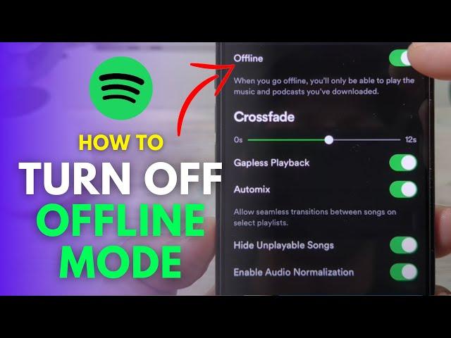 How To Turn Off Offline Mode On Spotify Mobile (Disable Quickly)