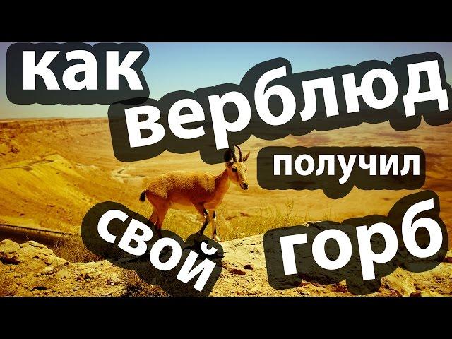 Редьярд Киплинг. Маленькие сказки - Как верблюд получил свой горб. Аудио сказка. Слушать онлайн.