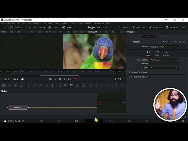 DaVinci Resolve in 10 minuti