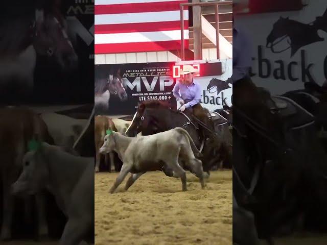 Mastering the Art of Cutting Horses with Bill Riddle: Expert Tips and Techniques  #ytshorts