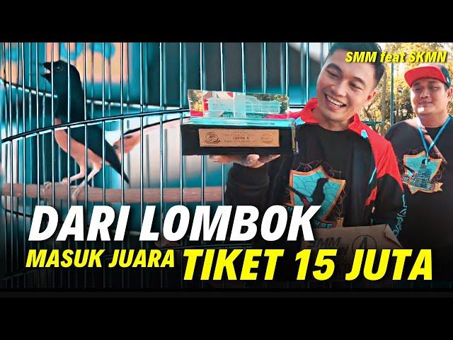 Dapet 65 Juta  Dari Lombok Murai Komodo Juara [SMM feat SKMN]