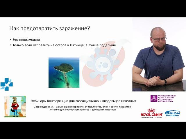 Скороходов В. А. - Вакцинации и обработки от гельминтов, блох и других паразитов