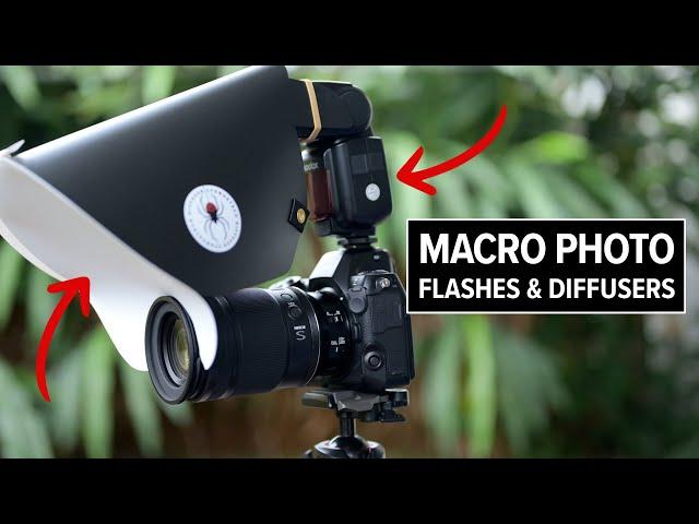 The BEST Macro Photography Flash & Diffusers